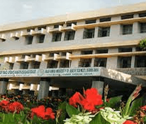 MASOOD COLLEGE OF NURSING